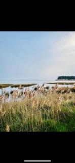 Parenthèse nature au Cap Ferret - 1