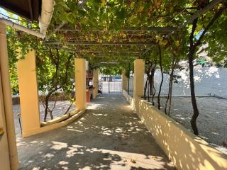 Amalthia House - Samos (Samo) - 8