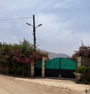 Bungalow avec piscine - Orano - 3