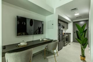 PVH - Homely Studio near Miracle Garden - 6