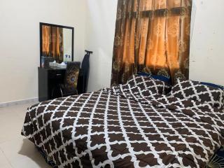 Decent furnished flat - Ajman - 2