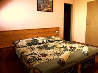 Penzion Rapšach -  - 2