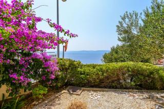 Apartments Vanessa - Trogir - 1
