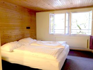 Charmantes Zimmer im Klösterli mit Gartensicht - Malters - 0