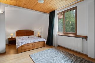 Forest Retreat Jacuzzi & BBQ - Predeal - 7