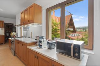 Forest Retreat Jacuzzi & BBQ - Predeal - 1