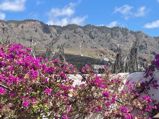 Tierrazul Art Boutique Rose Sweet Suite - Adeje - 8