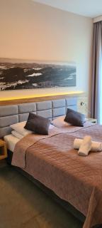 Aparthotel Apartamenty Czarna Góra 305 - 2