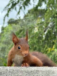 Loumaset-agréable petite maison-garrigues de Nîmes - 0