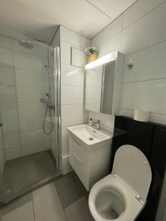 City Center Studio close to Zürich HB - 4