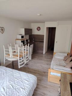 Studio 4 pers pied des pistes - 8