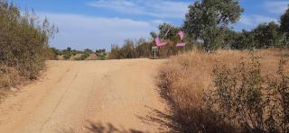 Monte da Luz - Alqueva - 2