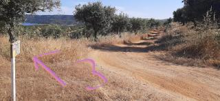 Monte da Luz - Alqueva - 3
