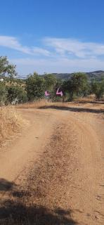 Monte da Luz - Alqueva - 6