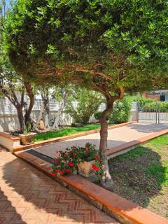 La Villetta del Gallo - 4