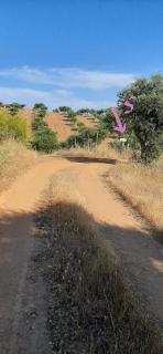 Monte da Luz - Alqueva - 7