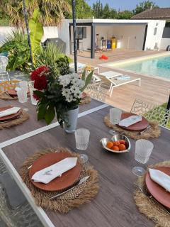 Villa Palmiera with pool, Alpilles, Provence - Maillane - 7