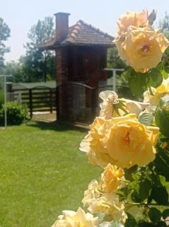 Vintage Village Serbia - - 9