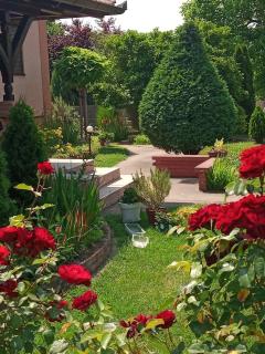 Vintage Village Serbia - - 5