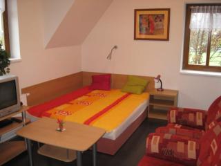 Attractive Apartment in Rokytnice nad Jizerou near Ski Area - Rokytnice nad Jizerou - 7