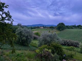 Blackland- Shabby Tuscany House - Colle di Val d'Elsa - 3