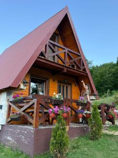 Mountain house Drveni Raj - Žabljak - 7