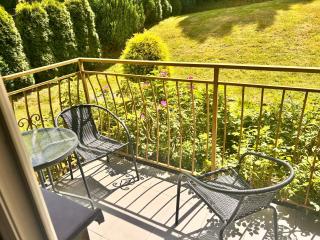 Komfortowy apartament w Ustroniu, 57m2, dwie sypialnie, darmowy ogrodzony parking, osobna kuchnia, blisko Czantoria i szlaki piesze - Ustroń - 9
