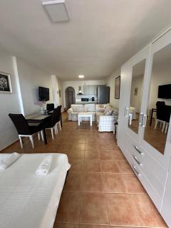 Tinos dream sea ,150m from the beach - Agios Sostis - 9