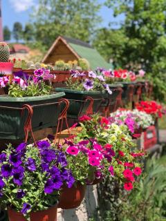 Mountain house Drveni Raj - 1