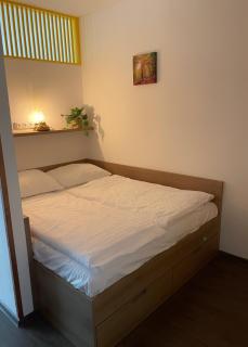 Apartmán v areálu Wellness hotel Frymburk - Frymburk - 3