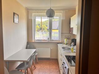 Komfortowy apartament w Ustroniu, 57m2, dwie sypialnie, darmowy ogrodzony parking, osobna kuchnia, blisko Czantoria i szlaki piesze - Ustroń - 6