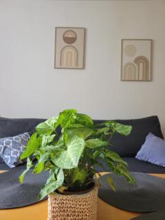 Apartment near bathrooms park - Warsaw - 7