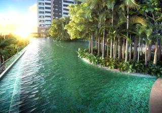 Piscine station Resort - São Paulo - 9