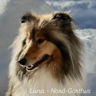Nord-Garthus, leilighet 2 - Hølera - 6