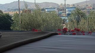 "Naias"seaside residence in the port of Piraeus-entire holiday home - 1