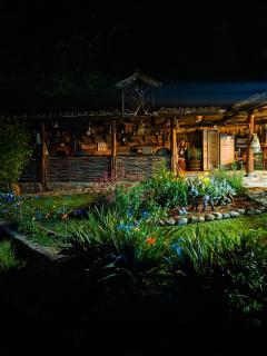 Guest House Complex Kosharite - Byala Ruse - 7