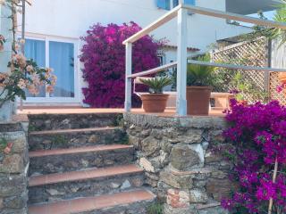 Case dei limoni sul mare - 9