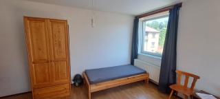 Ubytování Na Růžku - Veselí nad Lužnicí - 8