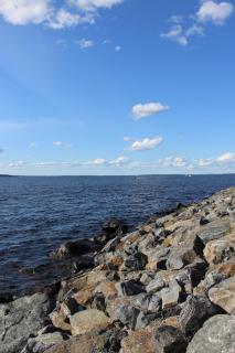 Ranta-Tampellan Helmi - Tampere - 1