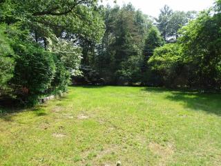 Serene Home Nestled in Nature - Sudbury - 3