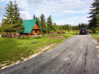 Holiday chalet Asterix - Žabljak - 8