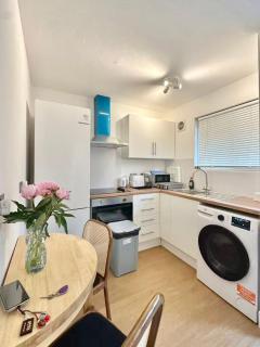 Stylish 2bedroom flat by Euston - Londra - 0
