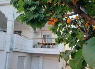 Kyveli's Residence - 4