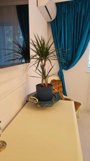 Phoenix Nest - 5