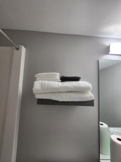 Entire basement suite in Bonavista - Winnipeg - 6