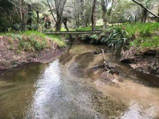 Paradise Valley Getaway - Farm Cottage with Stream - Tarukenga - 0
