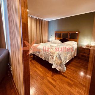 Tranquilidad y comodidad en Providencia - Santiago - 4