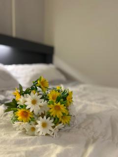 Minlak Stay - Busan - 4