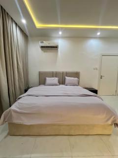 Luxurious 2 bedroom duplex - Lagos - 8