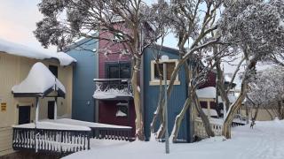 Rangers 2 'Morgan' - Mount Hotham - 9